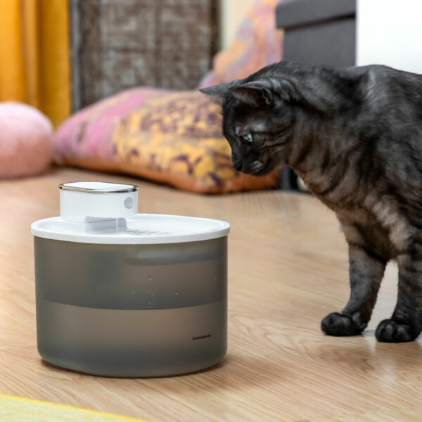 Fonte Automática para Gatos e Cães – Recarregável com Sensor e Filtro Gato bebendo água em fonte automática recarregável com sensor ao lado de cão