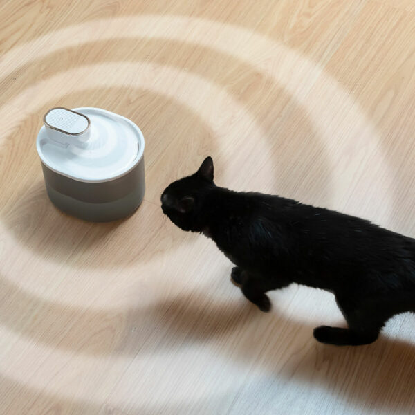 Gato preto usando bebedouro automático para pets com sensor de movimento Gato preto bebendo em fonte de água automática recarregável para pets