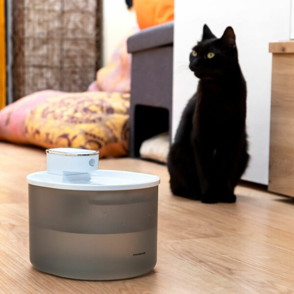 Fonte recarregável para gatos InnovaGoods em ambiente doméstico Gato preto observando fonte automática de água para pets