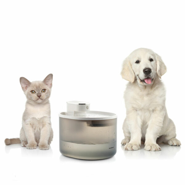 Fonte automática InnovaGoods para gatos e cães Gato e cão ao lado de fonte automática para pets InnovaGoods