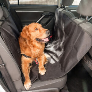 Cão pequeno sentado em capa protetora impermeável para banco de carro InnovaGoods