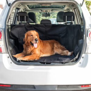 Cão pequeno sentado em capa protetora impermeável para banco de carro InnovaGoods