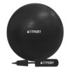 Bola de Yoga Fitpaddy Preto Ø 65 cm Bola de Yoga Fitpaddy preta de 65 cm para exercícios de pilates, fisioterapia e fitness